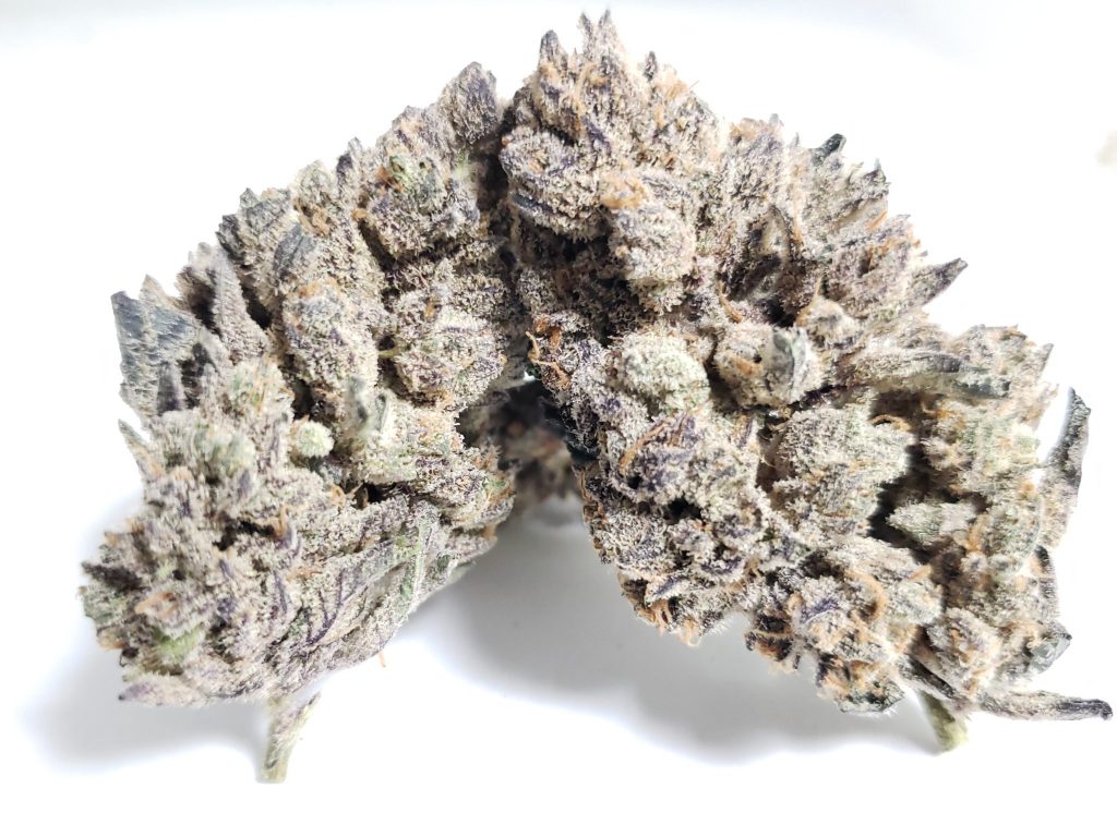 Sky High Exotics