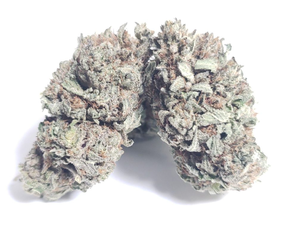 Sky High Exotics
