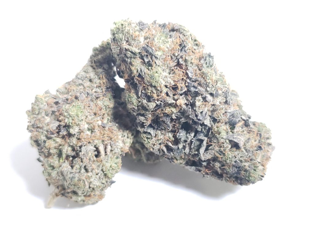 Sky High Exotics