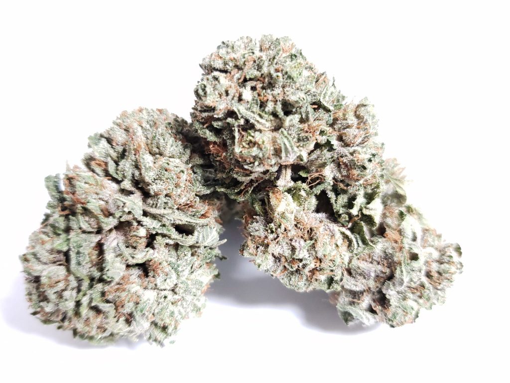 Sky High Exotics