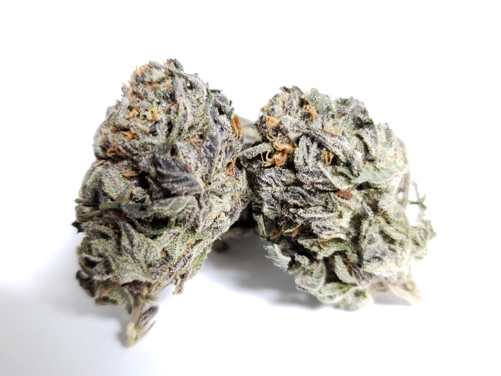 Sky High Exotics