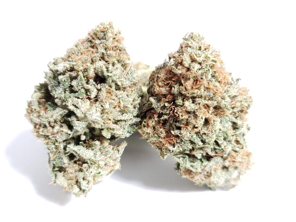 Sky High Exotics