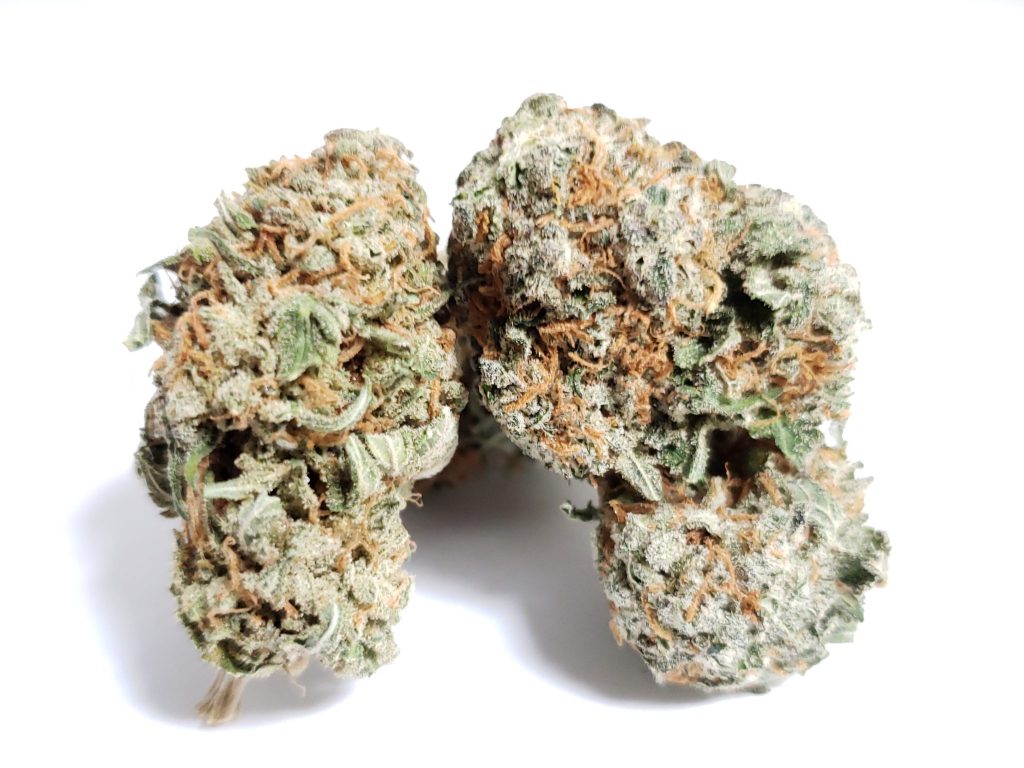 Sky High Exotics