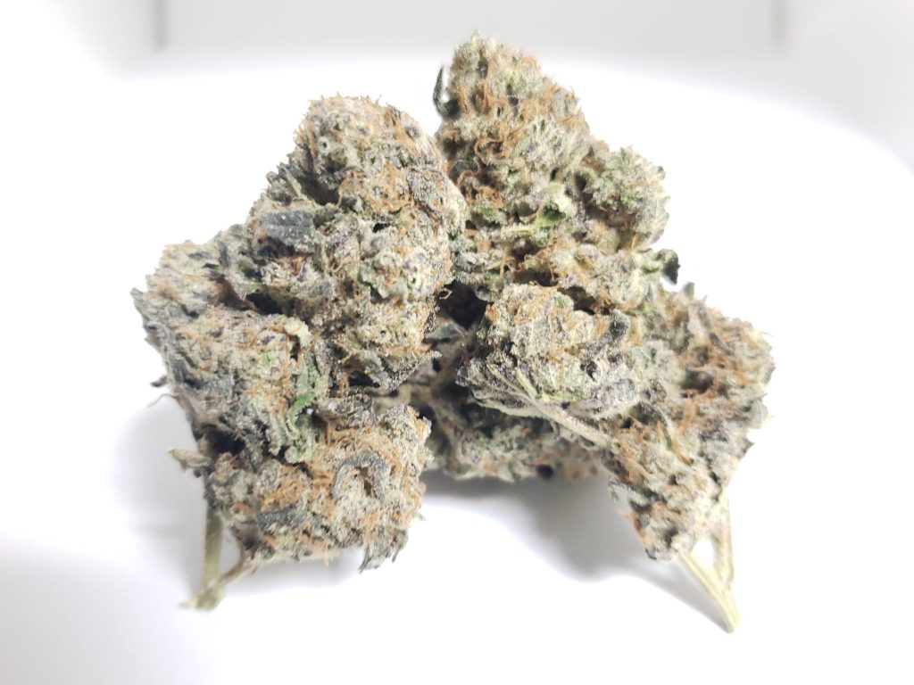Sky High Exotics