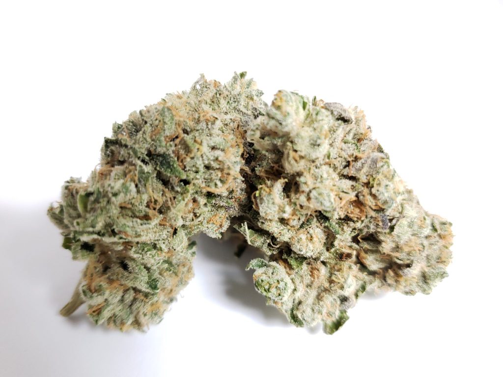 Sky High Exotics