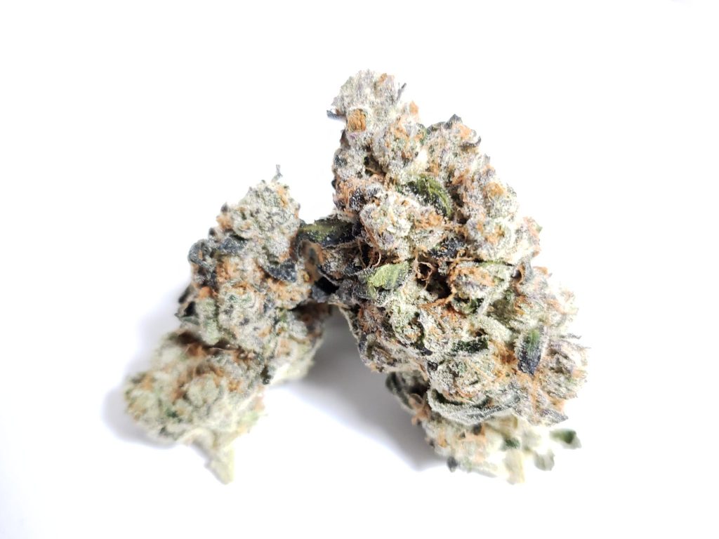 Sky High Exotics