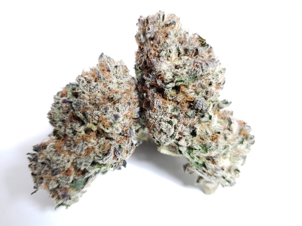 Sky High Exotics