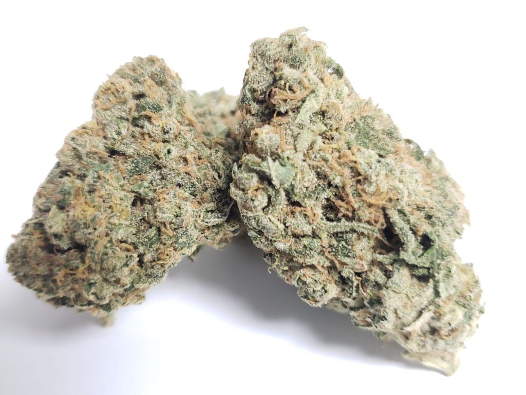 Sky High Exotics