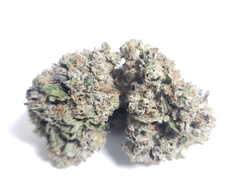 Sky High Exotics