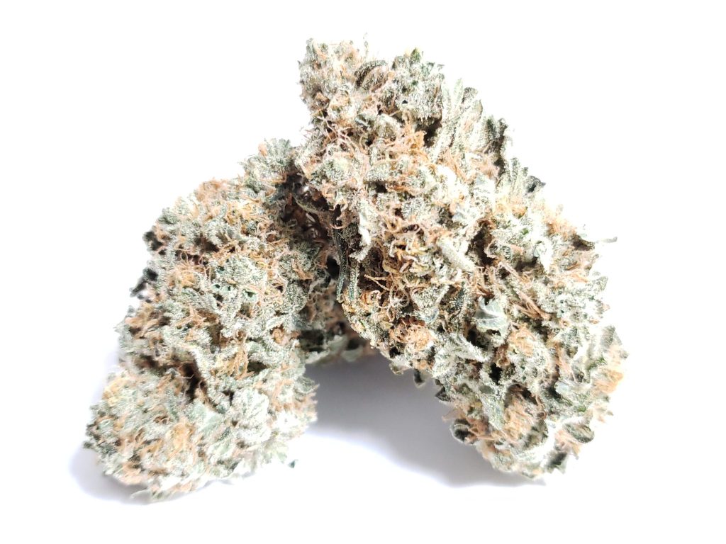Sky High Exotics
