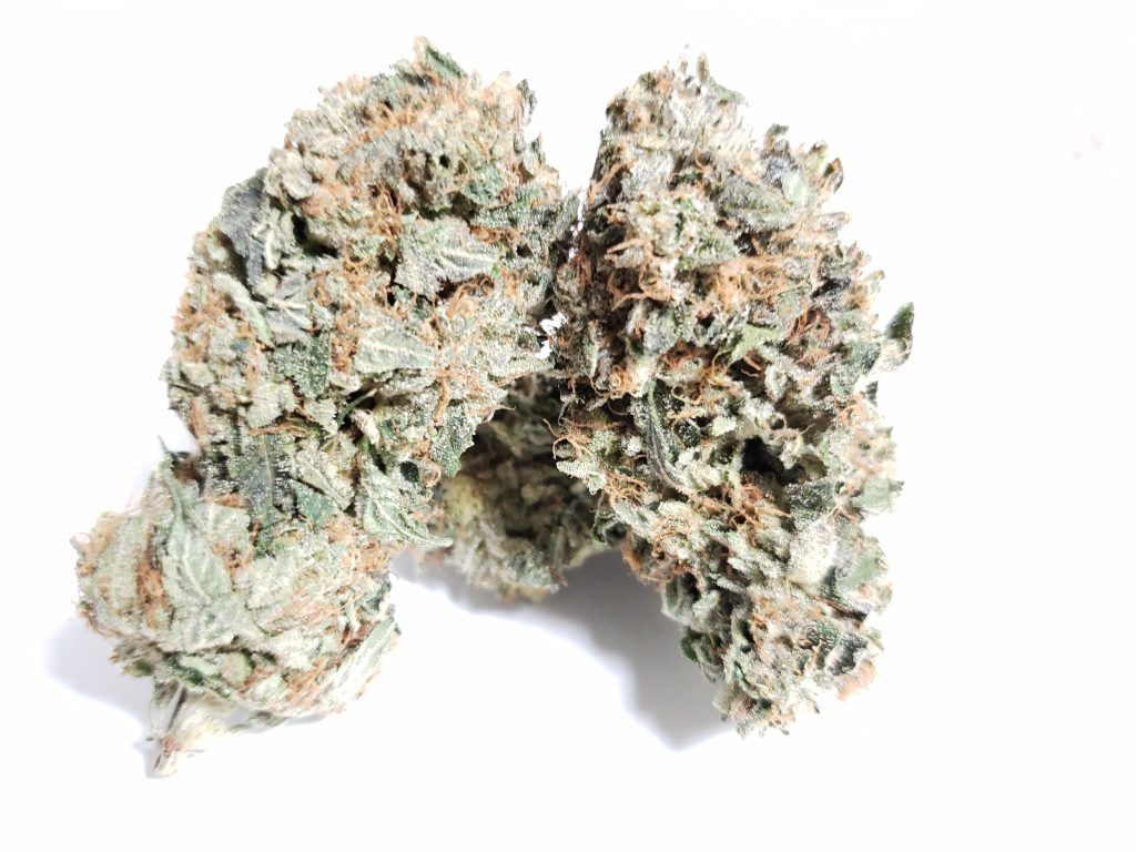 Sky High Exotics
