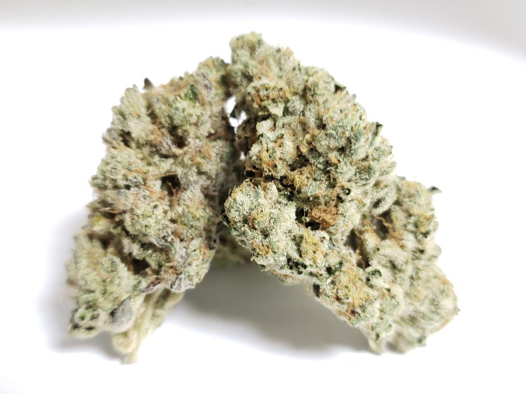 Sky High Exotics