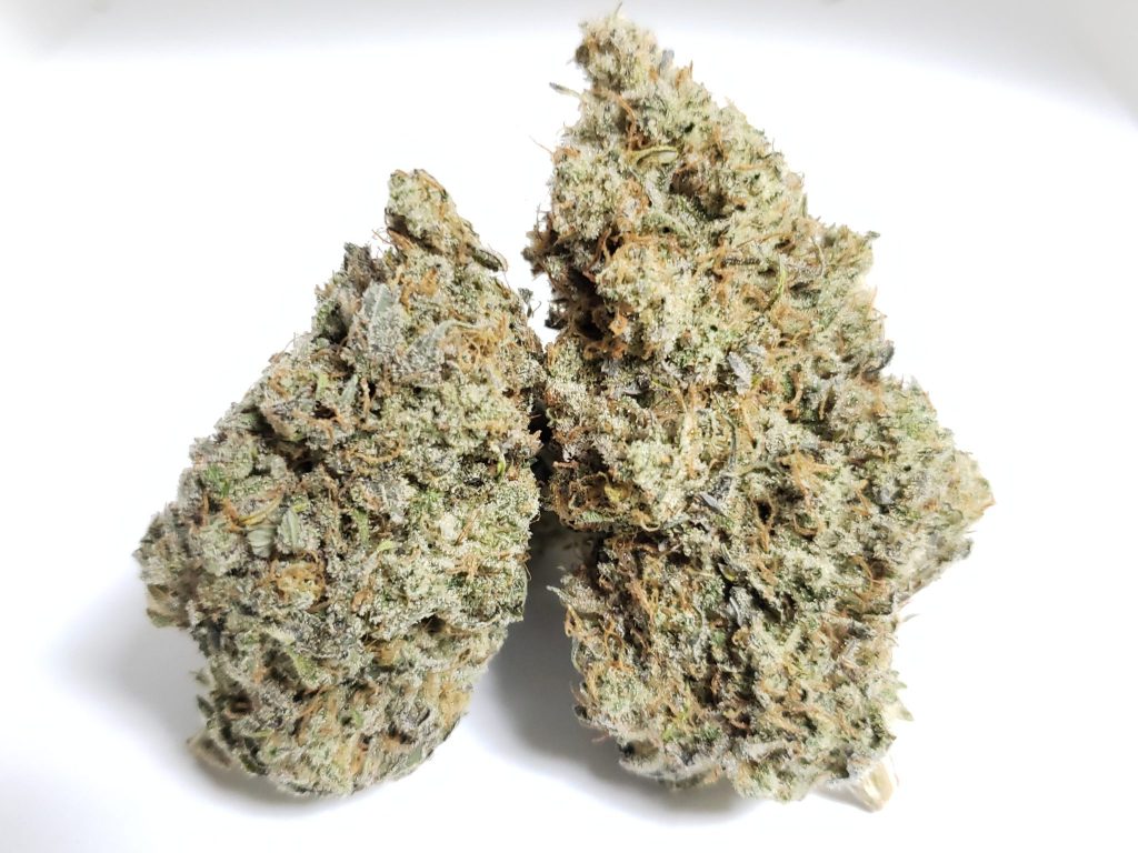 Sky High Exotics