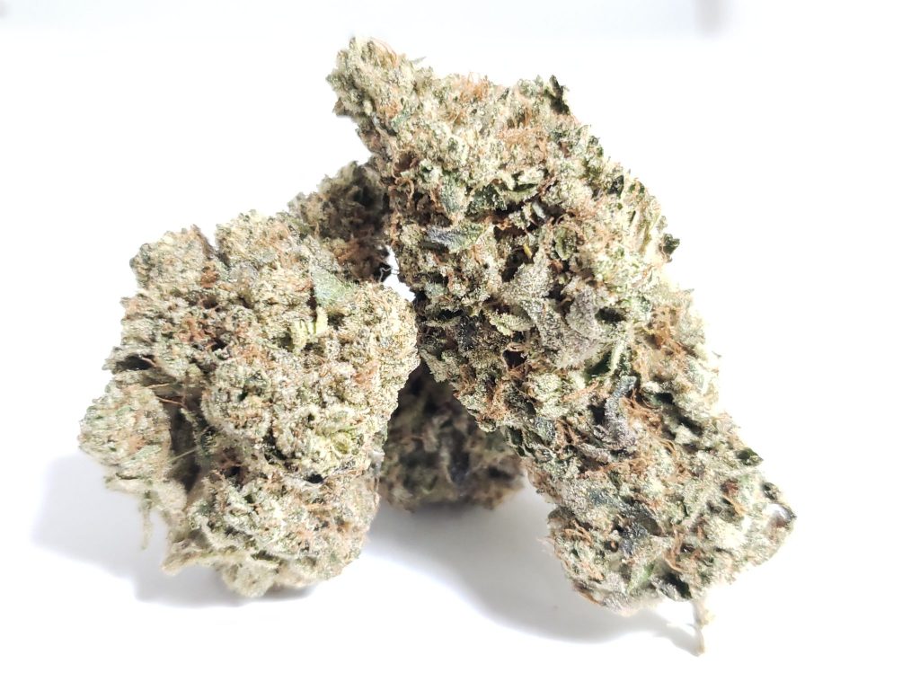Sky High Exotics