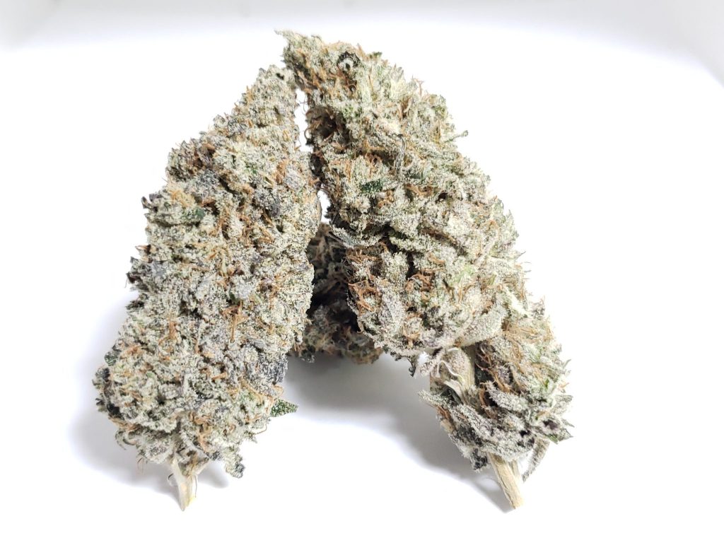 Sky High Exotics