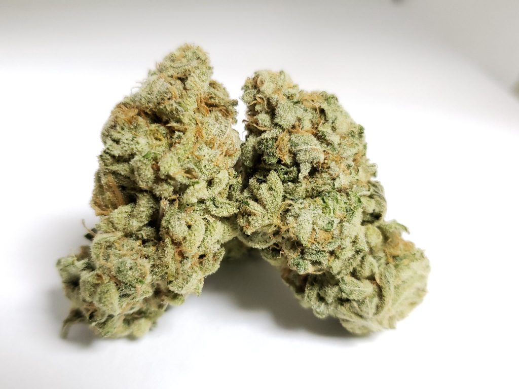 Sky High Exotics