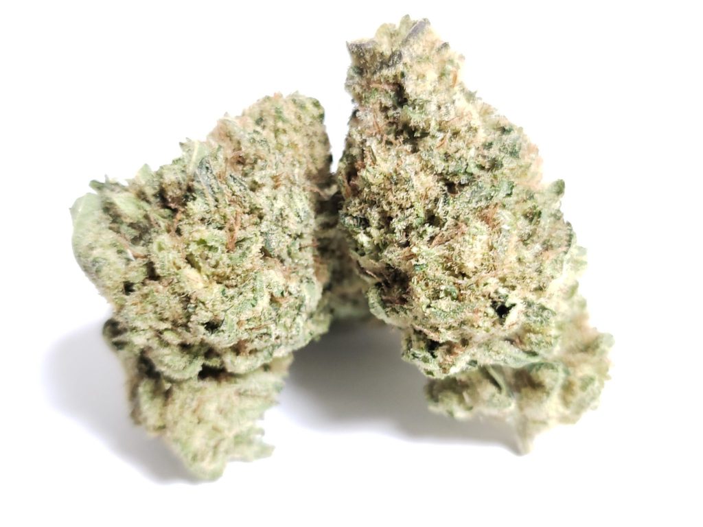 Sky High Exotics