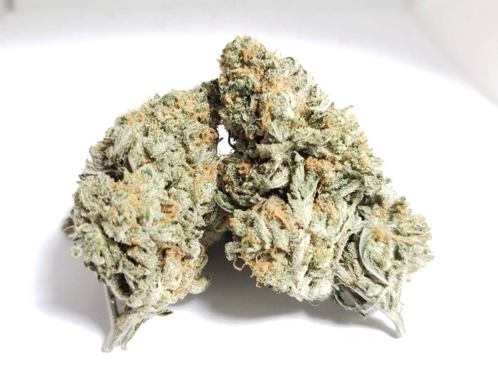 Sky High Exotics