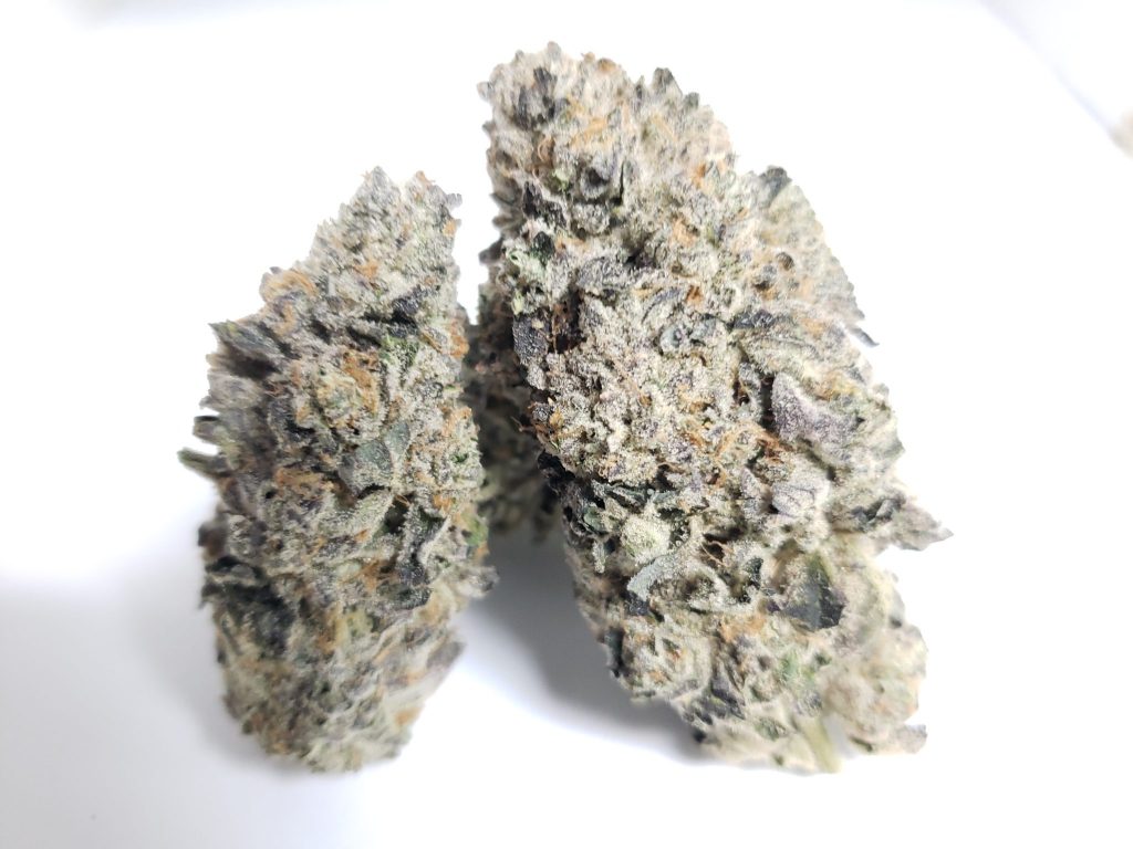Sky High Exotics