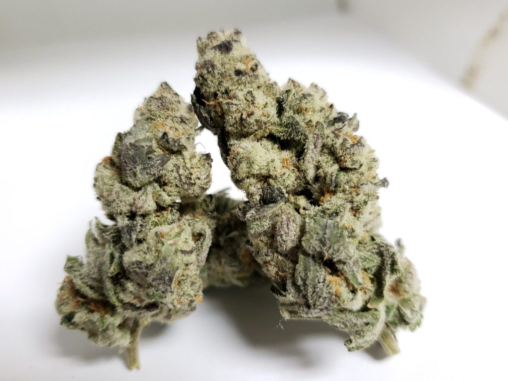 Sky High Exotics