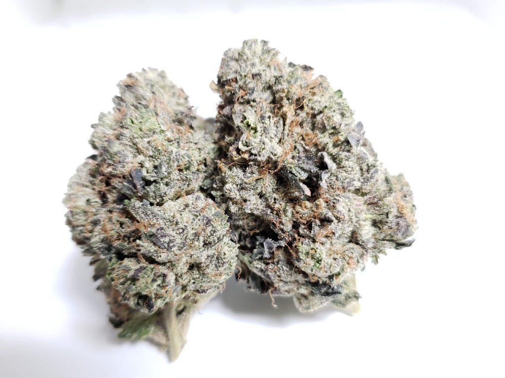 Sky High Exotics