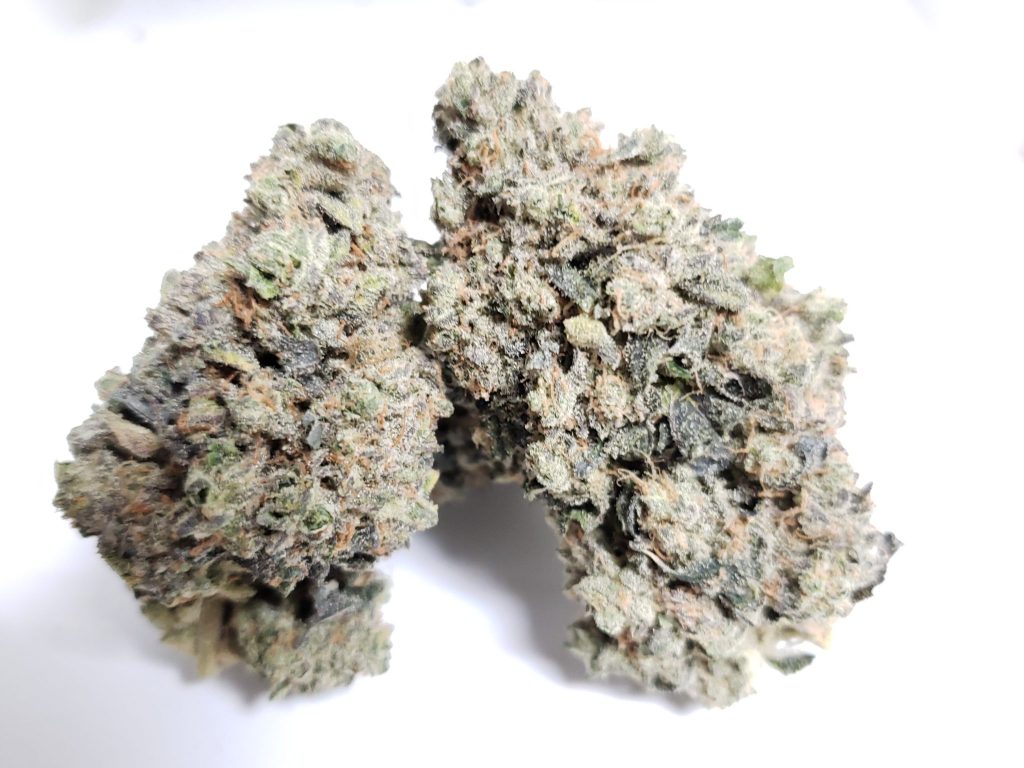 Sky High Exotics