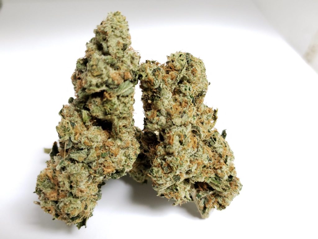 Sky High Exotics