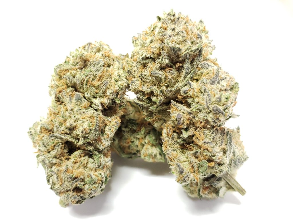 Sky High Exotics