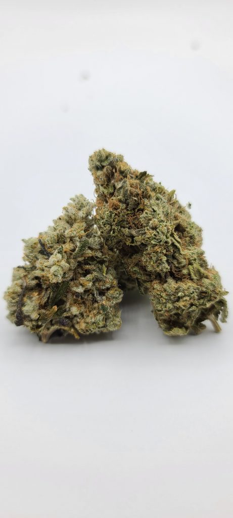 Sky High Exotics