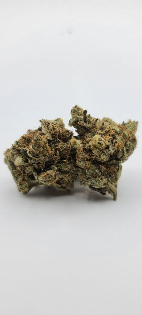 Sky High Exotics