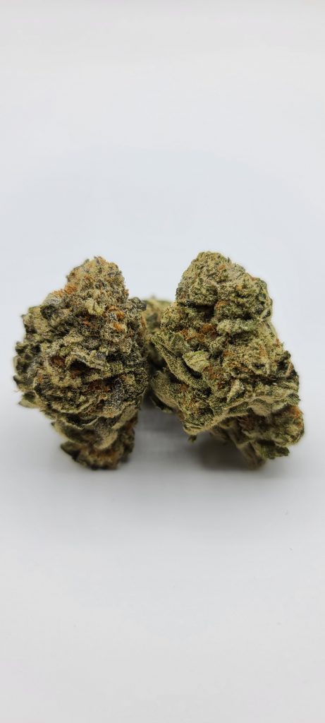 Sky High Exotics