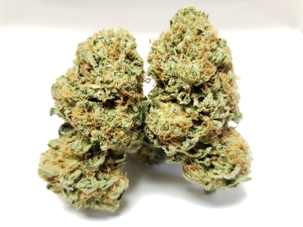 Sky High Exotics