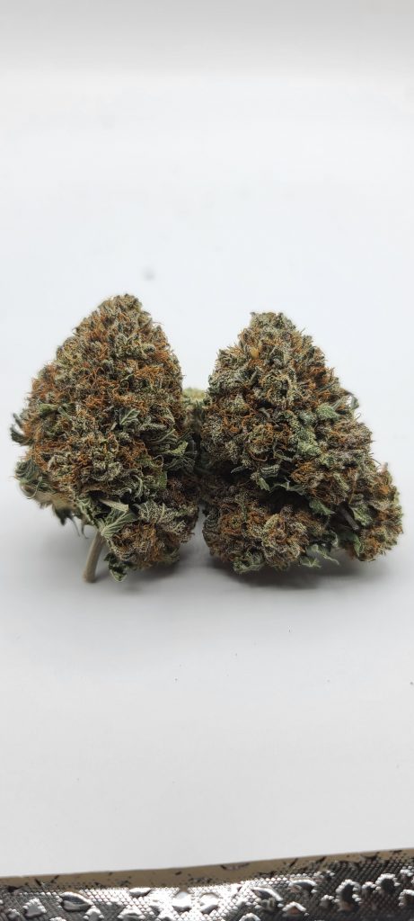 Sky High Exotics