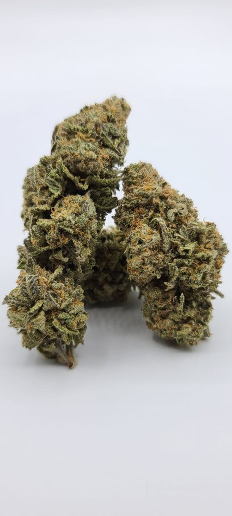 Sky High Exotics