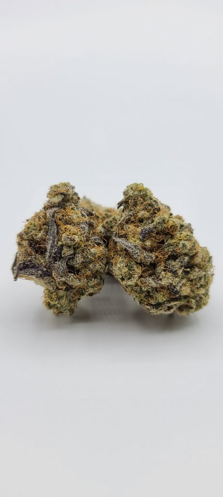 Sky High Exotics