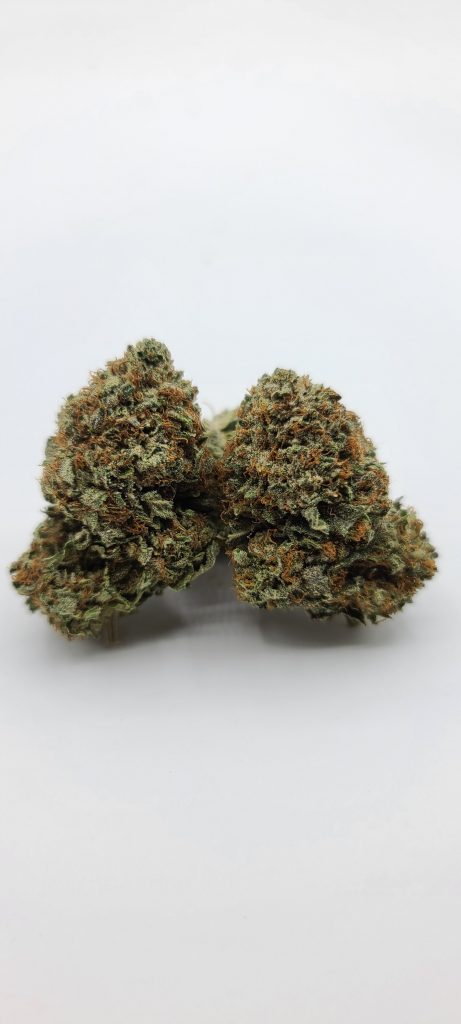 Sky High Exotics