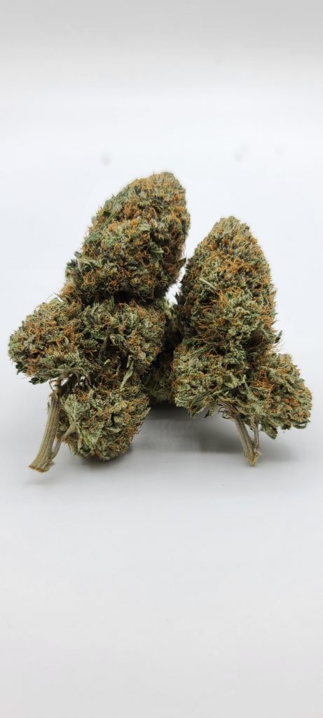 Sky High Exotics