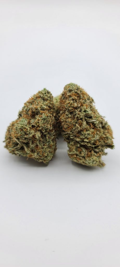 Sky High Exotics