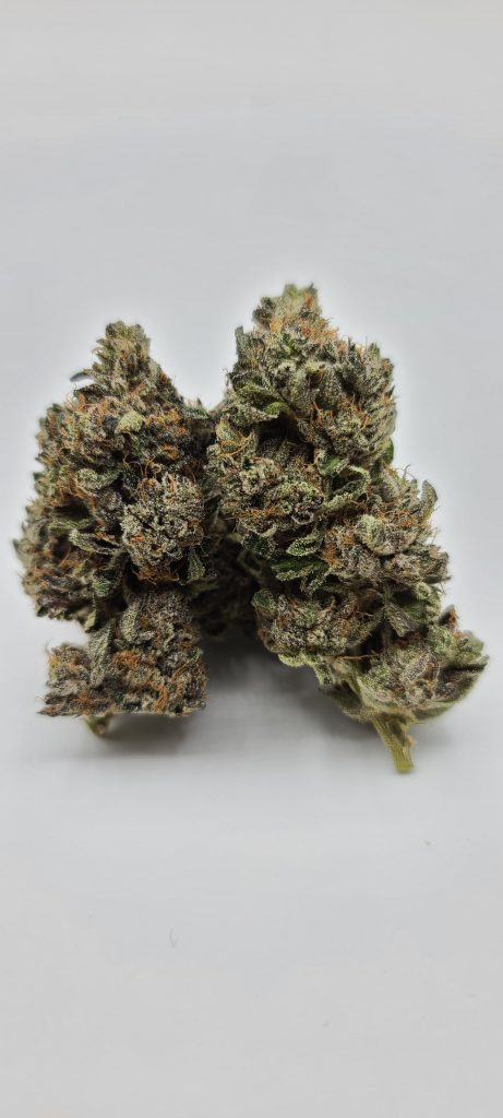 Sky High Exotics