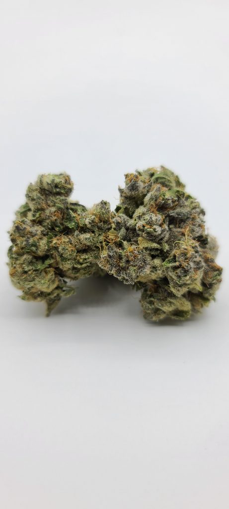 Sky High Exotics