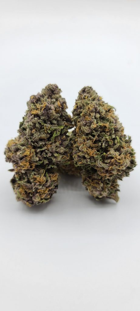 Sky High Exotics