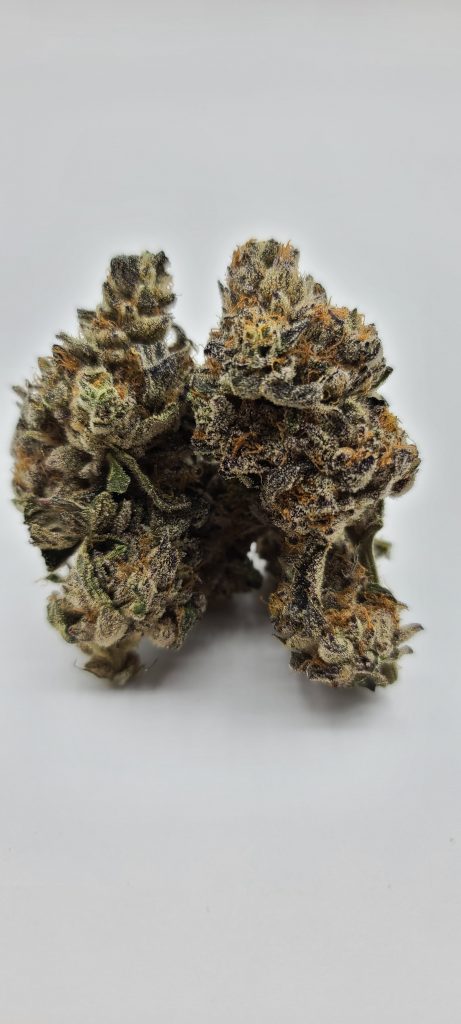 Sky High Exotics
