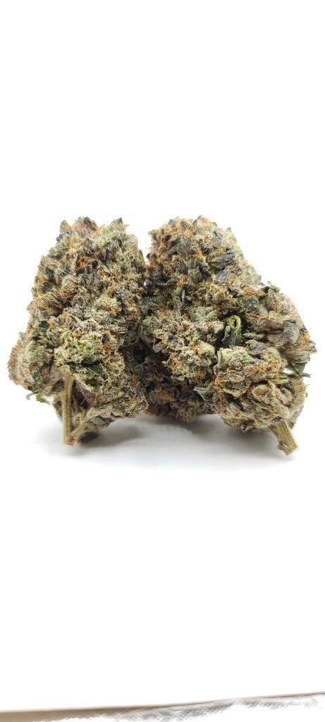 Sky High Exotics