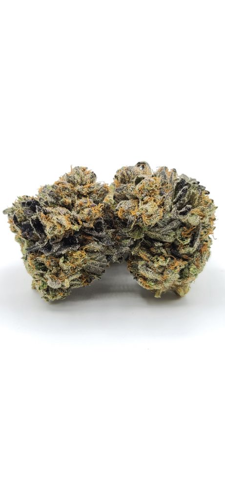 Sky High Exotics
