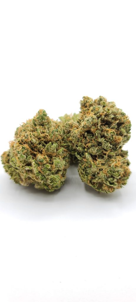 Sky High Exotics