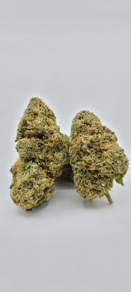 Sky High Exotics