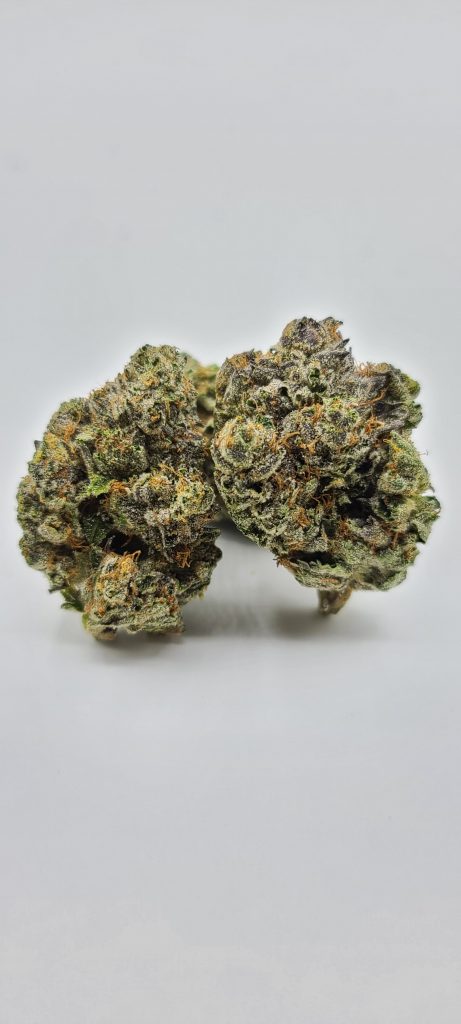 Sky High Exotics