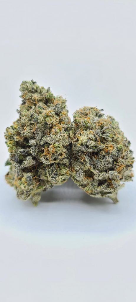 Sky High Exotics