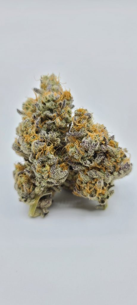 Sky High Exotics