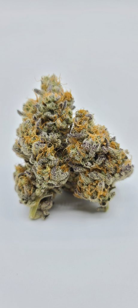 Sky High Exotics
